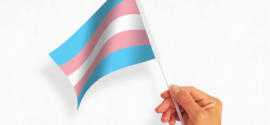 What Will 2026 Be Like for Trans Individuals?