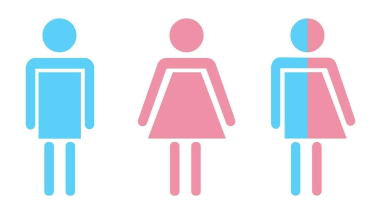 homme, femme et transgenre