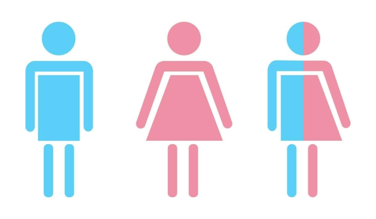 male female and transgender